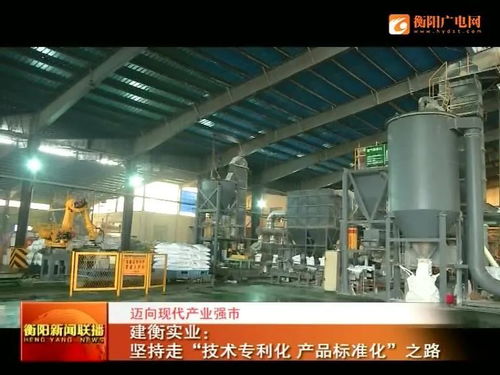 技術(shù)專利化、產(chǎn)品標(biāo)準(zhǔn)化 建衡實(shí)業(yè)邁向現(xiàn)代產(chǎn)業(yè)強(qiáng)市之路